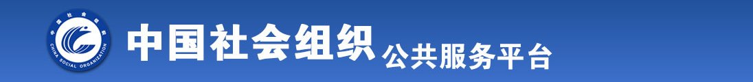 插逼色站全国社会组织信息查询